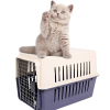 Plastic Cat & Dog Carrier Cage with Chrome Door Portable Pet Box Airline Approved, Medium