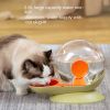 Small fresh snail water dispenser, pet automatic water feeding model, large capacity dog and cat water dispenser, directly sold by manufacturers